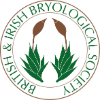 Survey website